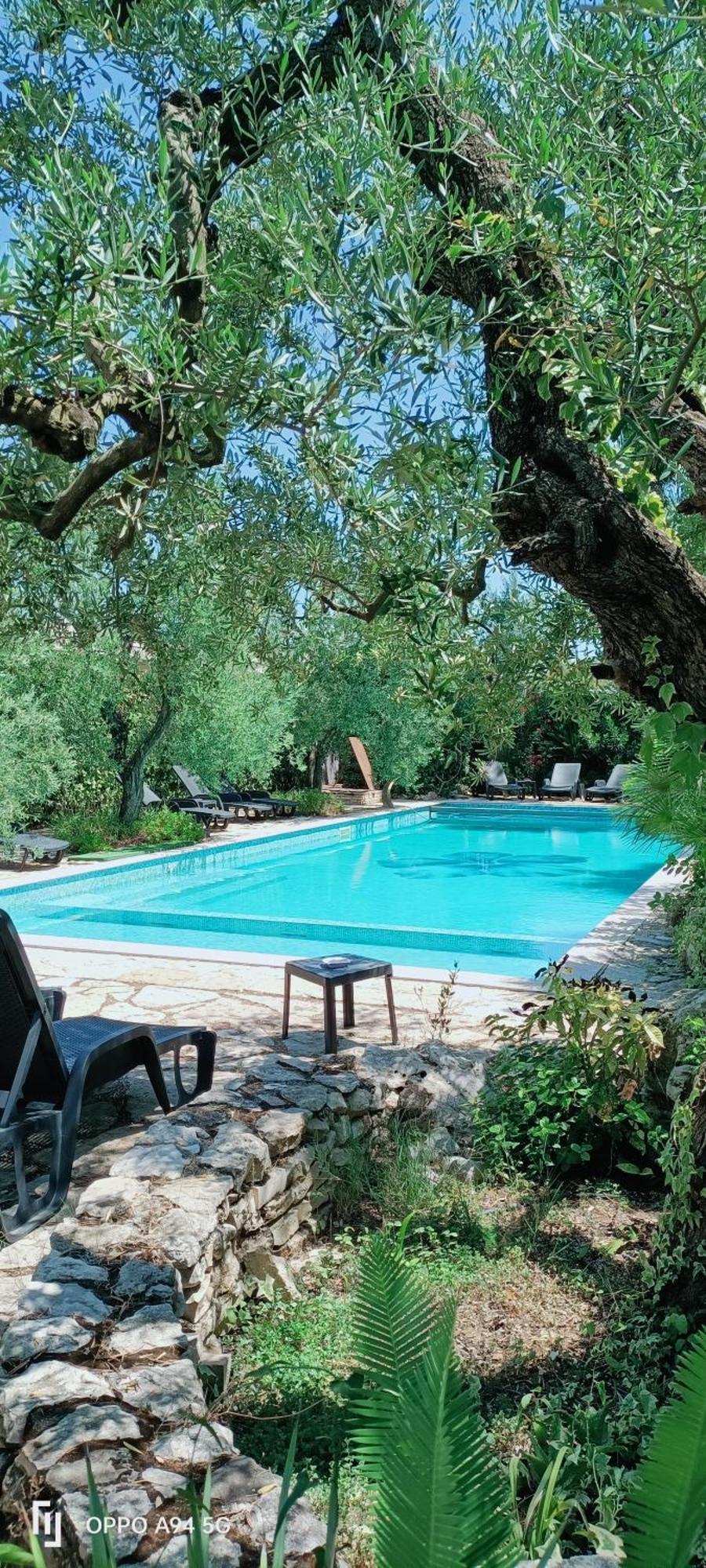 Agriturismo Le Vedute Bisceglie Exteriér fotografie